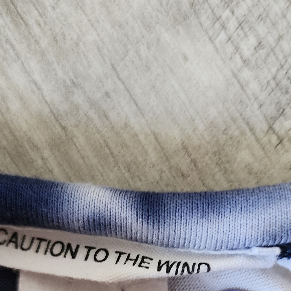 Caution To The Wind Blue and White Tee - Picture 3 of 5
